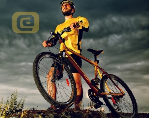 SEGURO DE BIKES SEGURO DE BIKES