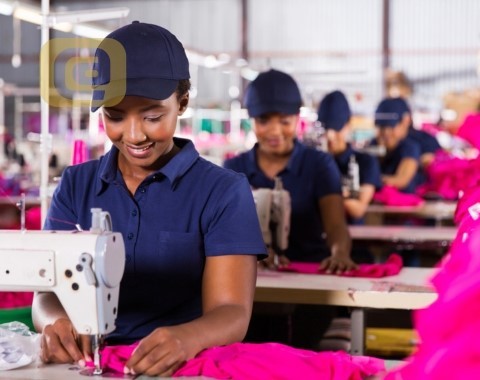 SEGURO DE VIDA EMPRESARIAL SEGURO DE VIDA EMPRESARIAL